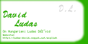 david ludas business card